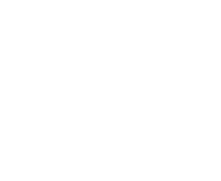 ZIEL ZWO Coaching